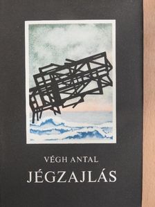 Végh Antal - Jégzajlás [antikvár]