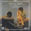 HERZOGENBERG, HEINRICH VON - VIOLIN CONCERTO, ODYSSEUS CD BEERMANN, DEUTSCHE RADIO PHILHARMONIE, WALLIN
