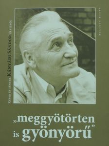 Pécsi Györgyi - "Meggyötörten is gyönyörű" [antikvár]