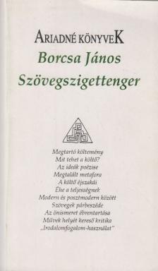 Borcsa János - Szövegszigettenger [antikvár]