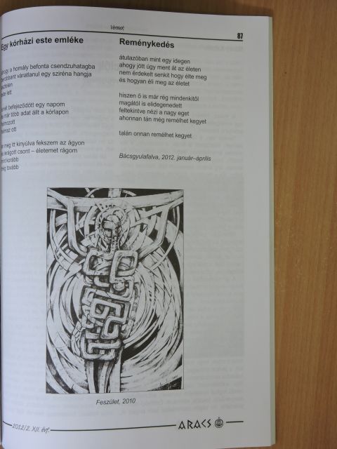 Bíró Zoltán - Aracs 2012. június 4. [antikvár]