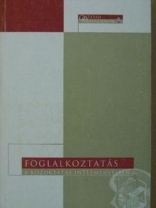 Foglalkoztatás a közoktatás intézményeiben [antikvár]