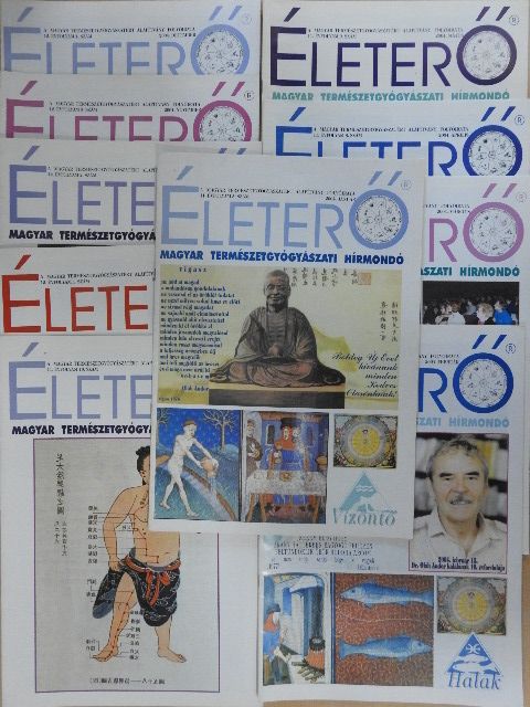 Életerő 2004. (nem teljes évfolyam) [antikvár]