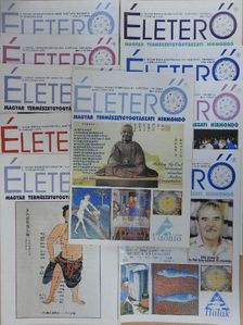Életerő 2004. (nem teljes évfolyam) [antikvár]