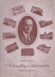 Sághy Gyula - A kiscsillag is lehet üstökös [antikvár]