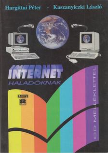 Hargittai Péter, Kaszanyiczki László - Internet [antikvár]