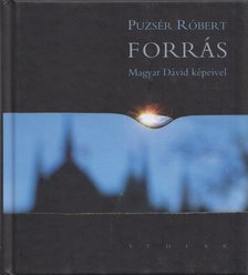 Puzsér Róbert - Forrás [antikvár]