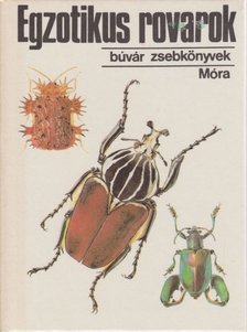 VÁSÁRHELYI TAMÁS - Egzotikus rovarok [antikvár]