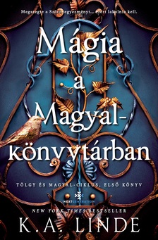 K.A. Linde - Mágia a Magyalkönyvtárban - Éldekorált