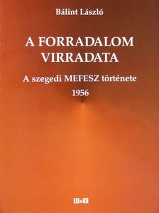 Bálint László - A forradalom virradata [antikvár]