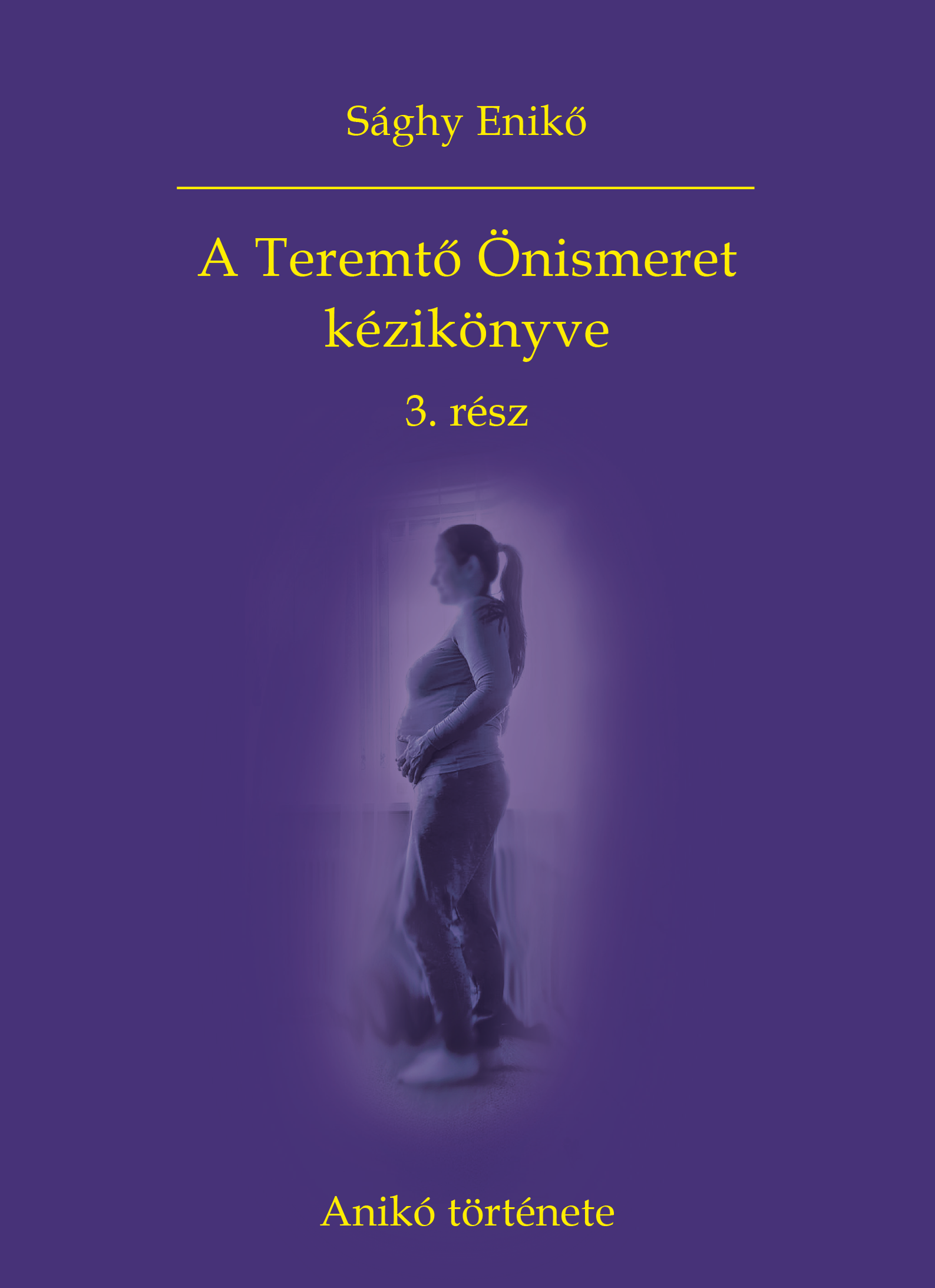 Sághy Enikő - A Teremtő Önismeret kézikönyve 3. rész - Anikó története [eKönyv: epub, mobi]