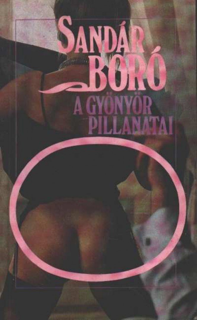 Boór András - A gyönyör pillanatai [antikvár]