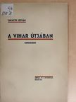 Lukácsy István - A vihar útjában [antikvár]