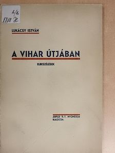 Lukácsy István - A vihar útjában [antikvár]