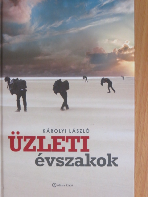 Dr. Vilmányi Márton - Üzleti évszakok [antikvár]