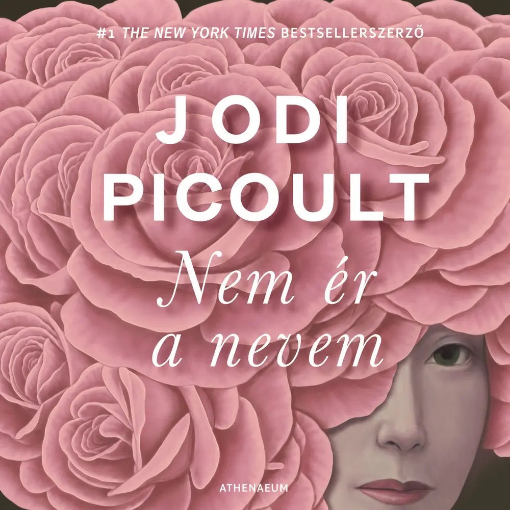 Jodi Picoult - Nem ér a nevem [eHangoskönyv]