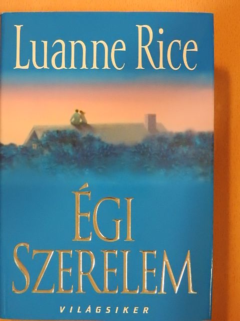 Luanne Rice - Égi szerelem [antikvár]