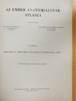 Az ember anatómiájának atlasza II. (töredék) [antikvár]