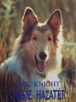 Eric Knight - Lassie hazatér [antikvár]