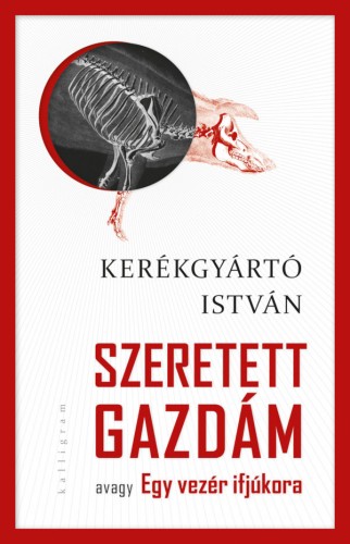 Kerékgyártó István - Szeretett gazdám - avagy Egy vezér ifjúkora [eKönyv: epub, mobi]