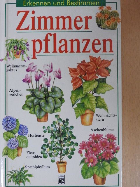 Violet Stevenson - Zimmerpflanzen [antikvár]