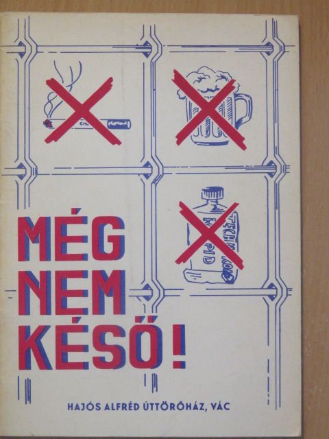 Dr. Bayer István - Még nem késő! [antikvár]