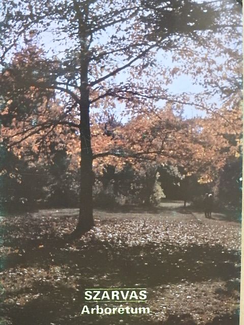 Mesterházy Tihamér - Szarvas - Arborétum [antikvár]