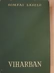Somfai László - Viharban [antikvár]