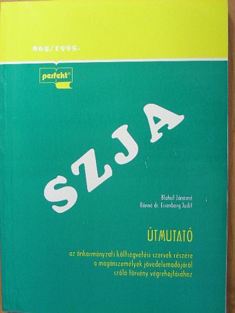 Bánné Dr. Eisenberg Judit - Útmutató az önkormányzati költségvetési szervek részére a magánszemélyek jövedelemadójáról szóló törvény végrehajtásához [antikvár]