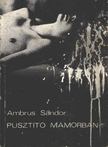 AMBRUS SÁNDOR - Pusztító mámorban [antikvár]