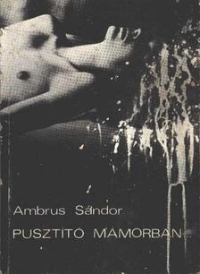 AMBRUS SÁNDOR - Pusztító mámorban [antikvár]
