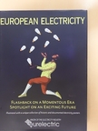 Jerzy Buzek - European Electricity [antikvár]