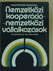 Káldyné Dr. Esze Magdolna - Nemzetközi kooperáció - nemzetközi vállalkozások [antikvár]