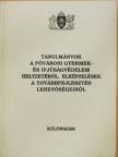 Ihász Márta - Tanulmányok a fővárosi gyermek- és ifjúságvédelem helyzetéről, elképzelések a továbbfejlesztés lehetőségeiről [antikvár]