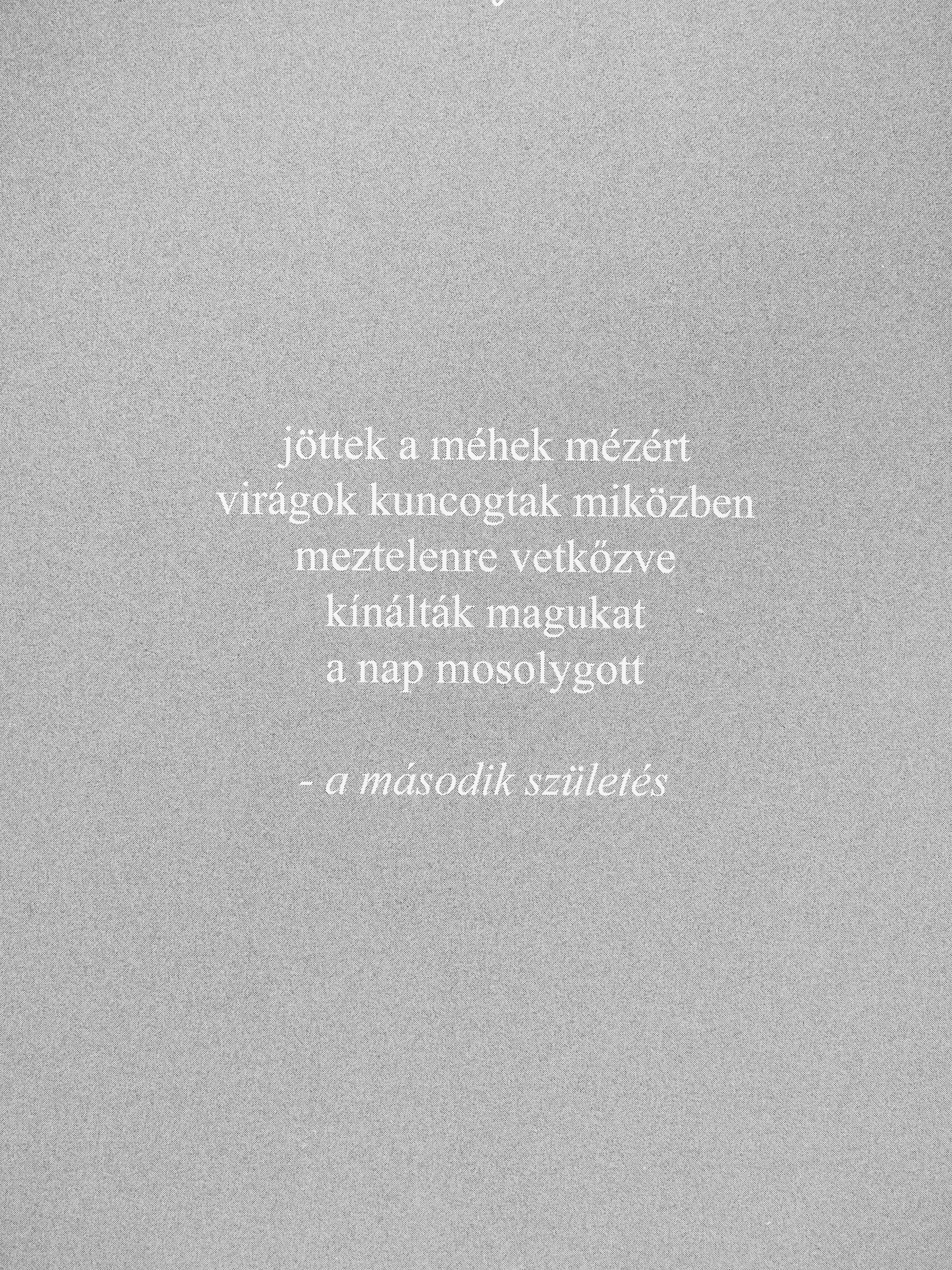 Rupi Kaur - A nap és az ő virágai [antikvár]