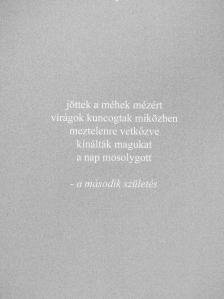 Rupi Kaur - A nap és az ő virágai [antikvár]
