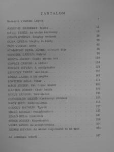 Ásgúthy Erzsébet - Szlovákiai magyar elbeszélők (dedikált példány) [antikvár]