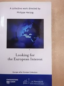 Fernando Vasquez - Looking for the European Interest [antikvár]