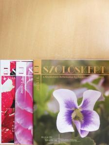 Csendes Nóra - Új szőlőskert 2015/1-4. [antikvár]