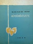 Szeged mai képzőművészete [antikvár]