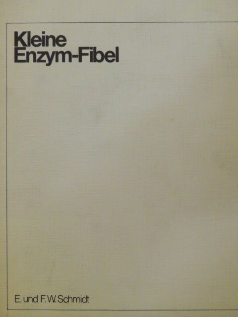 Ellen Schmidt - Kleine Enzym-Fibel [antikvár]