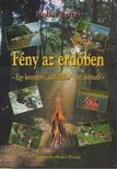 Koller Eszter - Fény az erdőben [antikvár]