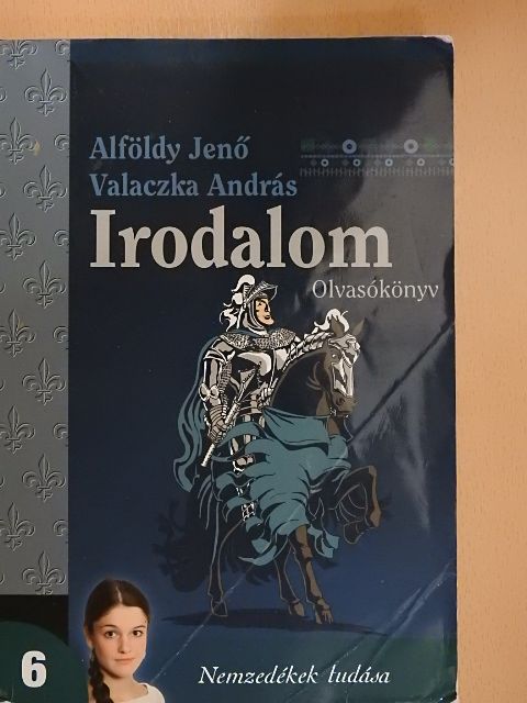 Alföldy Jenő - Irodalom 6. [antikvár]