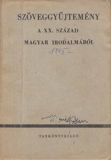 Diószegi András, Lakits Pál - Szöveggyűjtemény a XX. század magyar irodalmából [antikvár]