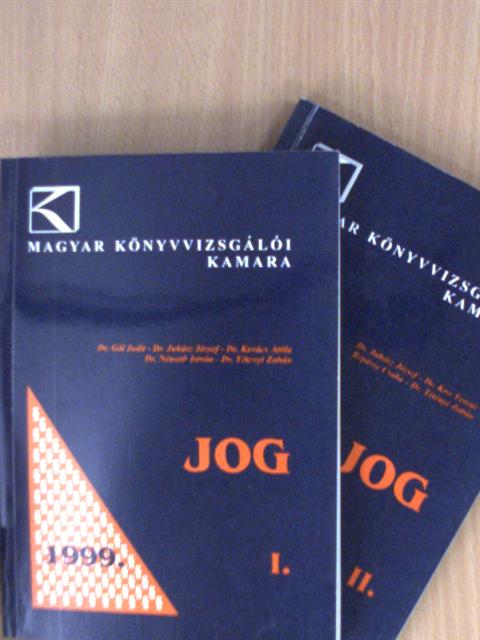 Dr. Gál Judit - Jog I-II. [antikvár]