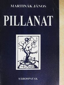 Martinák János - Pillanat [antikvár]
