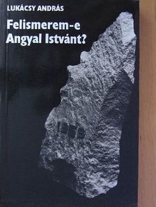 Lukácsy András - Felismerem-e Angyal Istvánt? [antikvár]
