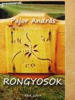 Pajor András - Rongyosok [antikvár]
