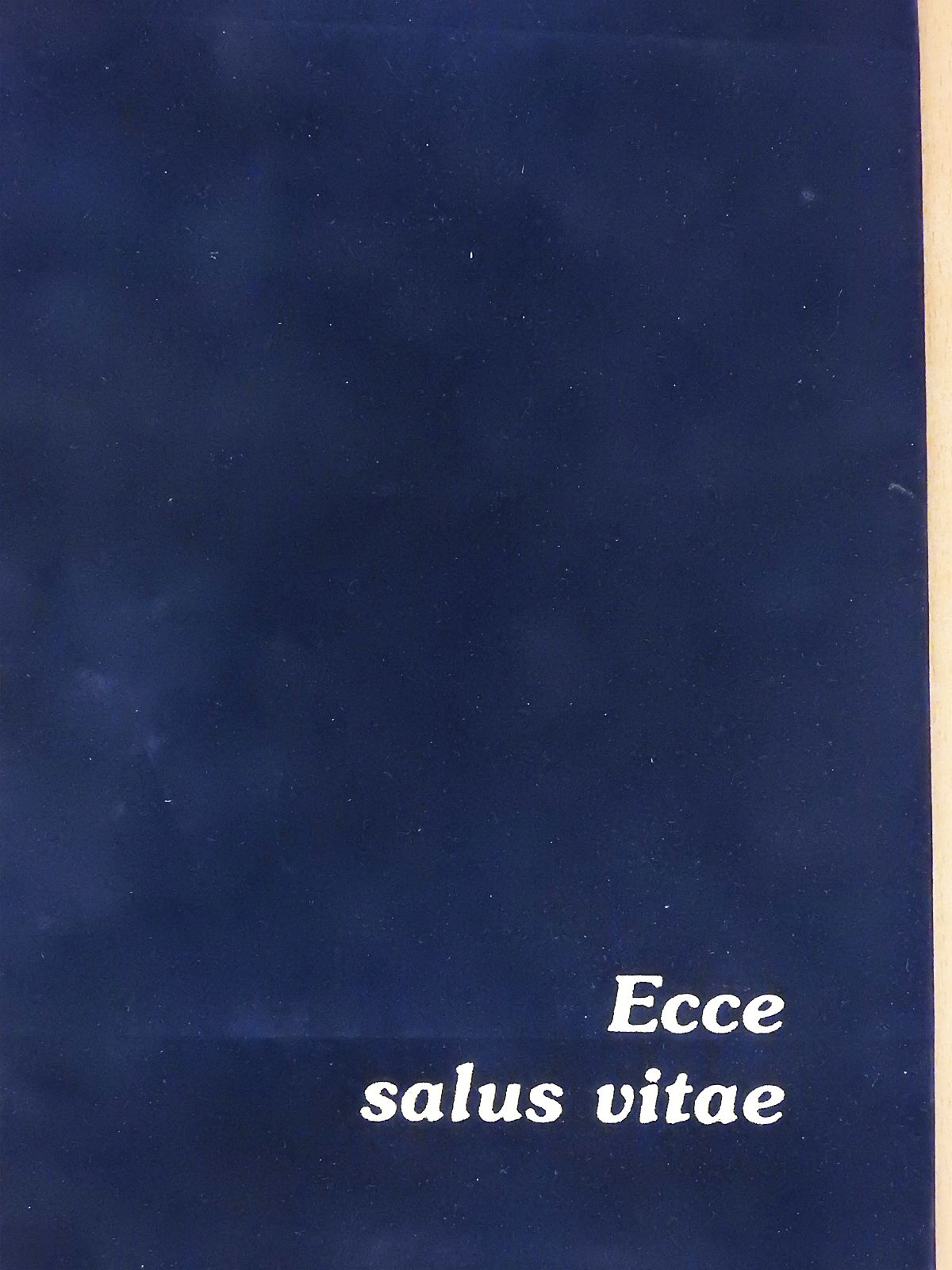 Fodor István - Ecce salus vitae: Íme az élet üdve-A Gizella kereszt (dedikált példány) [antikvár]