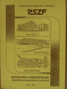 Dr. Gyulaffy Béláné - Bevezetés a pénzügyekbe I. [antikvár]